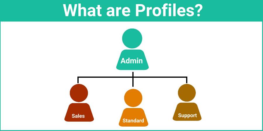 Profiles & Users & Groups